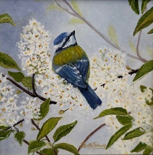 Oljemålning av en blåmes som sitter bland vita blommande grenar.